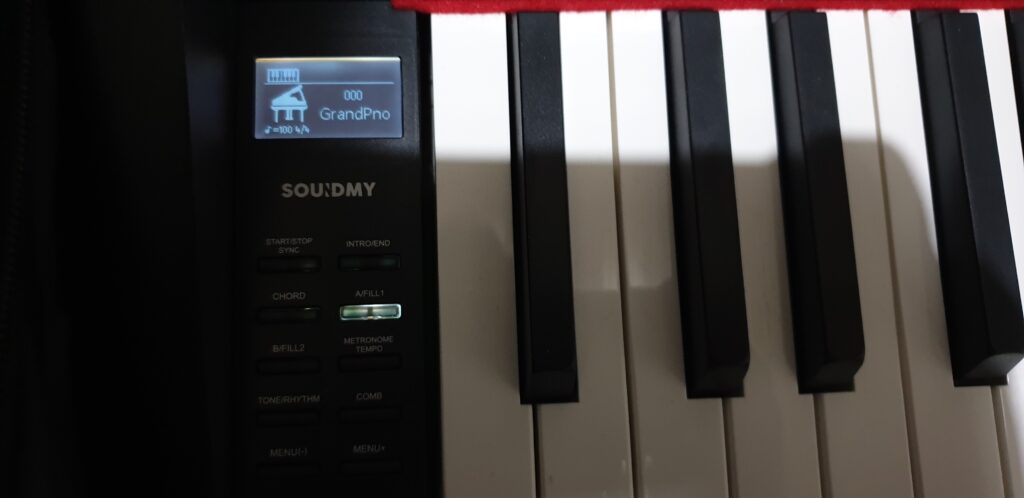 Tastiera Midi entry level Souidmy G-310W